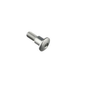 Tornillo especial M6 Plata Lightech 976SIL
