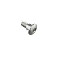 Tornillo especial M6 Plata Lightech 978SIL