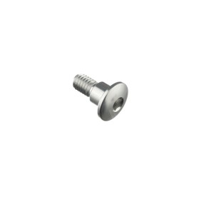 Tornillo especial M6 Plata Lightech 978SIL