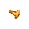 Tornillo especial M6 Oro Lightech 983ORO