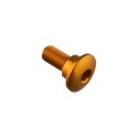 Tornillo especial M6 Oro Lightech 984ORO