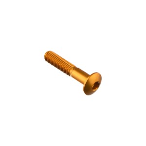 Tornillo especial M6 Oro Lightech 991ORO