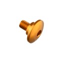 Tornillo especial M6 Oro Lightech 992ORO