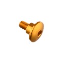 Tornillo especial M6 Oro Lightech 994ORO