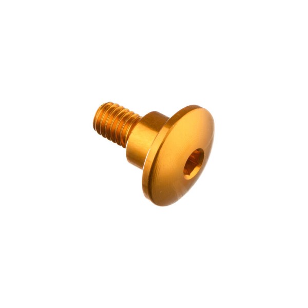Tornillo especial M6 Oro Lightech 994ORO