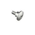 Tornillo especial M6 Plata Lightech 994SIL