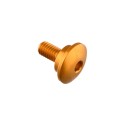 Tornillo especial M6 Oro Lightech 995ORO