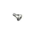 Tornillo especial M6 Plata Lightech 997SIL