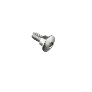 Tornillo especial M6 Plata Lightech 997SIL