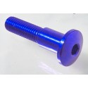 Tornillo especial M10 Azul cobalto Lightech 931COB