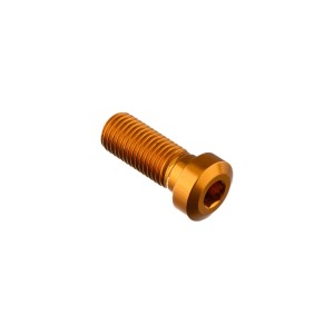 Tornillo especial M10 Oro Lightech 961ORO