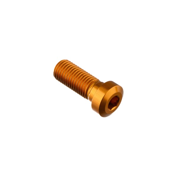 Tornillo especial M10 Oro Lightech 961ORO