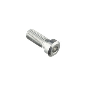 Tornillo especial M10 Plata Lightech 961SIL