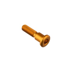 Tornillo especial M8 Oro Lightech 960ORO