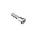 Tornillo especial M8 Plata Lightech 960SIL