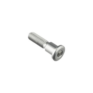 Tornillo especial M8 Plata Lightech 960SIL