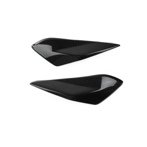 Tapa lateral de escape Acabado brillo Lightech CARD0402