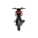 Escapes completos Racing  Akrapovic S-H125R6-ASZT-1