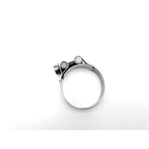 Brida inoxidable  Akrapovic P-R103