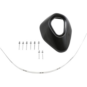 Cono de salida de carbono tipo r5  Akrapovic V-EC105