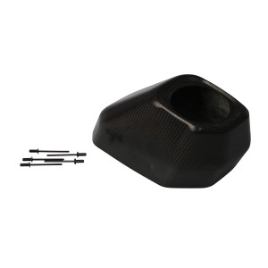 Cono de salida de carbono tipo r5  Akrapovic V-EC300