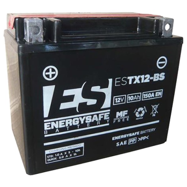Batería Energysafe ESTX12-BS Sin Mantenimiento