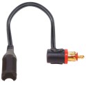CABLE CAN BUS OPTIMATE O19