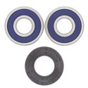 Kit rodamientos de rueda All Balls 25-1353