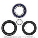 Kit de rodamientos rueda All Balls 25-1005