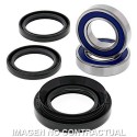 Kit de rodamientos rueda All Balls 25-1029