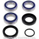 Kit de rodamientos rueda All Balls 25-1034
