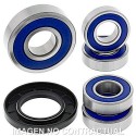 Kit de rodamientos rueda All Balls 25-1097