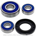 Kit de rodamientos rueda All Balls 25-1455