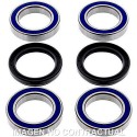 Kit de rodamientos rueda All Balls 25-1456