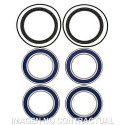 Kit de rodamientos rueda All Balls 25-1534