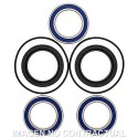 Kit de rodamientos rueda All Balls 25-1560