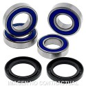 Kit de rodamientos rueda All Balls 25-1563