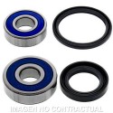 Kit de rodamientos rueda All Balls 25-1602