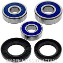 Kit de rodamientos rueda All Balls 25-1603