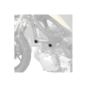 Tapones Chasis - PUIG 0096