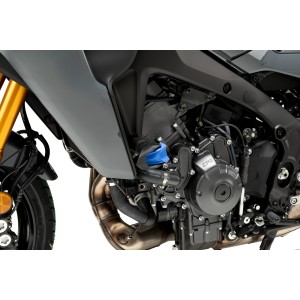 Protectores de Motor R19 -...