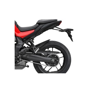 Extensión Guardabarros...