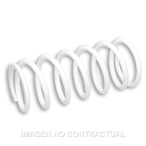 Muelle Reforzado Amortiguador Delantero RS24 Malossi