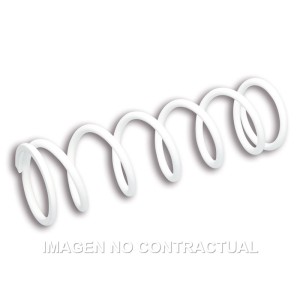 Muelle Reforzado Amortiguador Trasero RS24 Malossi