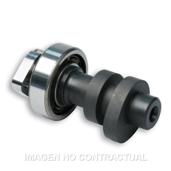Árbol De Levas Malossi Power Cam Honda SH 300