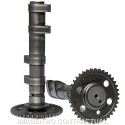 Arbol de levas doble Malossi Yamaha T-Max 560