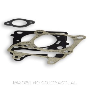 Juntas Malossi Honda PCX 125 - SH 125 - Forza