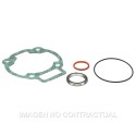 Juntas Cilindro Malossi Piaggio Hexagon