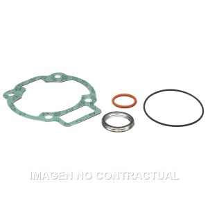 Juntas Cilindro Malossi Piaggio Hexagon