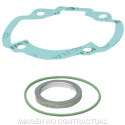Juntas Cilindro 318640 Peugeot Buxy, Speedake